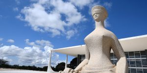 A escultura foi feita em 1961 pelo artista plástico mineiro Alfredo Ceschiatti, em um bloco monolítico de granito de Petrópolis, medindo 3,3 metros de altura e