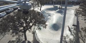 Foto: (Franklin de Freitas)