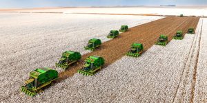 SLC Agrícola amplia capital social com bonificação de ações