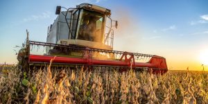 SLC Agrícola (SLCE3) ou BrasilAgro (AGRO3)? XP atualiza preços-alvo e divulga prévias do 4T25