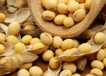 USDA traz novo choque baixista para a soja, que pode testar US$ 10 na CBOT com China no radar