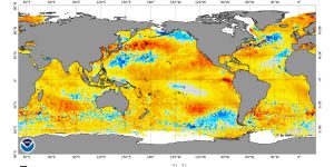 ssta.daily_.current