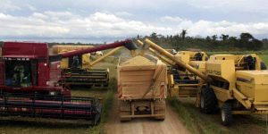 E-agro do Bradesco planeja aumento de 25% no crédito para 2026