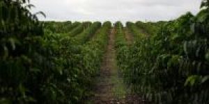 tagreuters.com2026binary_LYNXMPEM5219T-BASEIMAGE