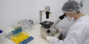 Hedeson Alves/TECPAR