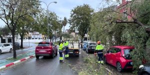 Reprodução/ Redes Sociais