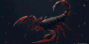 Transformação da saúde de Escorpião em 2026: escolha entre cura e controle