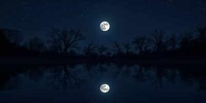 Afirmações diárias e guia de manifestação para todos os signos zodiacais