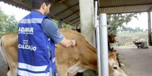 Adapar alerta: vacinação é a melhor defesa contra raiva no Paraná