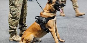 m colorida de Varredura antibomba da PF no local onde ocorrerá a COP30, em Belém (PA