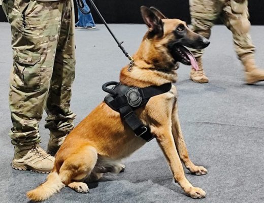 m colorida de Varredura antibomba da PF no local onde ocorrerá a COP30, em Belém (PA