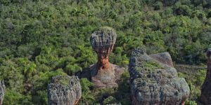 Foto: Governo do Paraná