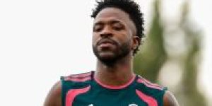 vini_treino_real-e1785772772923