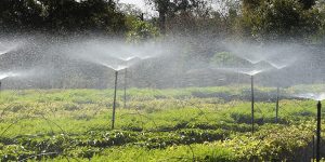 Foto: Governo do Paraná