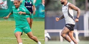 Raul Baretta/ Santos FC