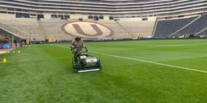 whatsapp-image-2025-11-27-at-14.03.53-1-