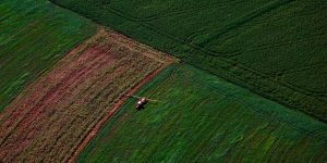 Foto: Governo do Paraná