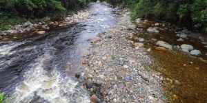 Cabeça d'água: orientações essenciais para segurança em rios e cachoeiras no Paraná