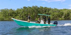 PMPR intensifica patrulhamento náutico para proteção da fauna marinha