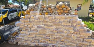 Foto: Governo do Paraná